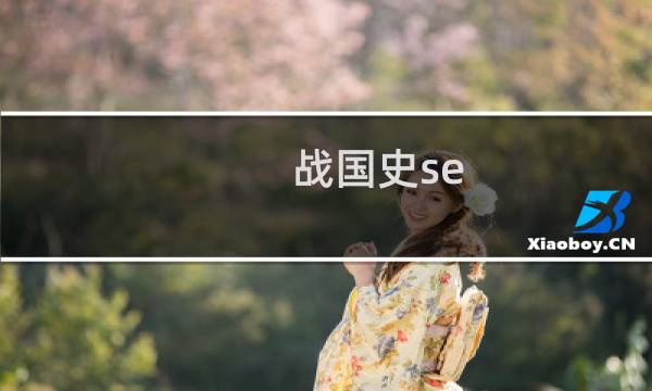 战国史se 攻略
