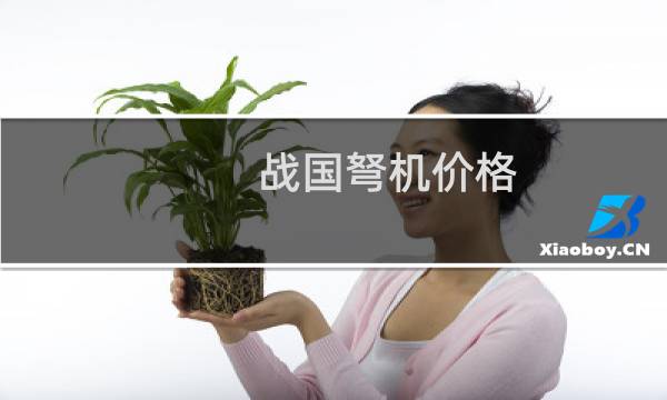 战国弩机价格