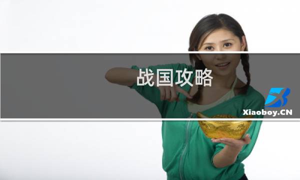 战国攻略 阵容