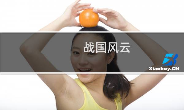 战国风云 攻略