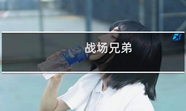 战场兄弟  攻略