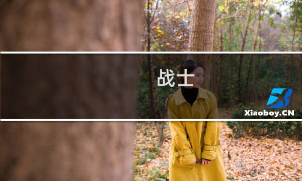 战士 最终幻想