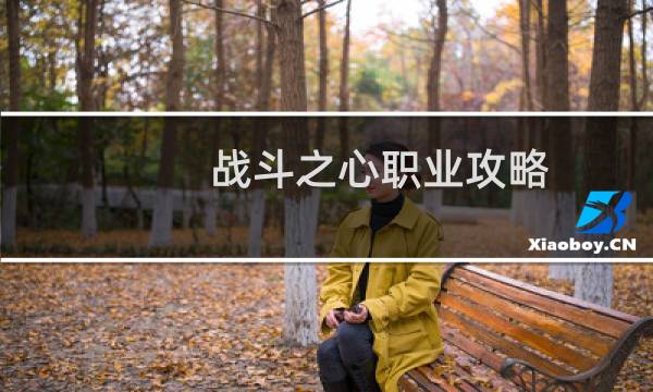 战斗之心职业攻略