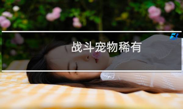 战斗宠物稀有