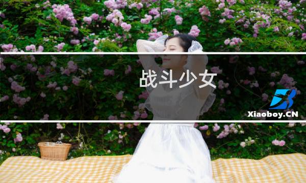 战斗少女  攻略