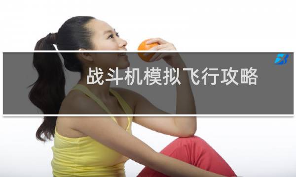 战斗机模拟飞行攻略