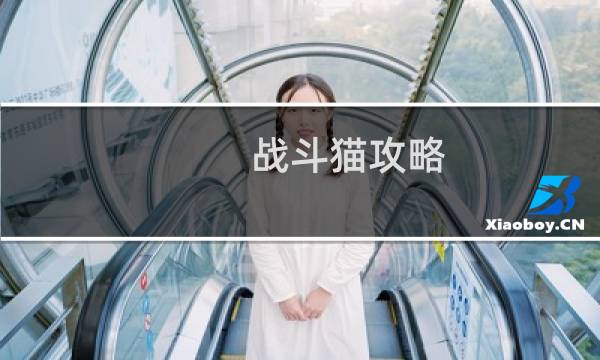 战斗猫攻略