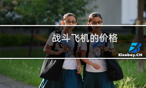 战斗飞机的价格