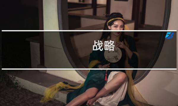 战略 战术 攻略