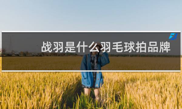 战羽是什么羽毛球拍品牌