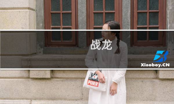 战龙 攻略