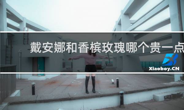 戴安娜和香槟玫瑰哪个贵一点