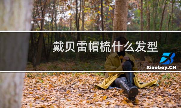 戴贝雷帽梳什么发型