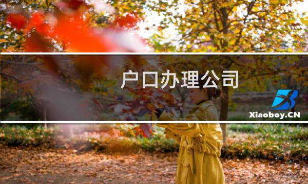 户口办理公司