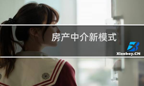 房产中介新模式