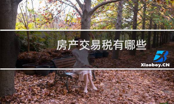 房产交易税有哪些