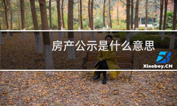 房产公示是什么意思