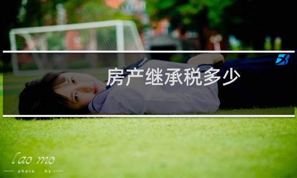 房产继承税多少