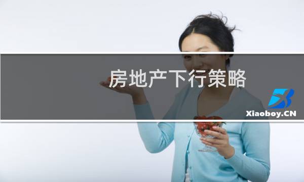 房地产下行策略