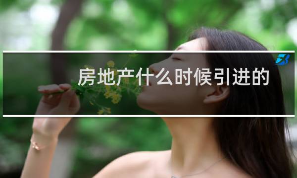 房地产什么时候引进的
