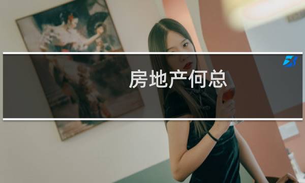 房地产何总
