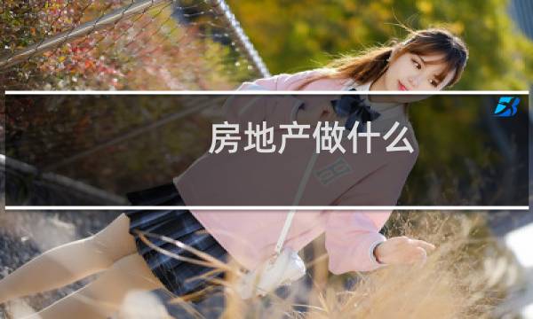 房地产做什么