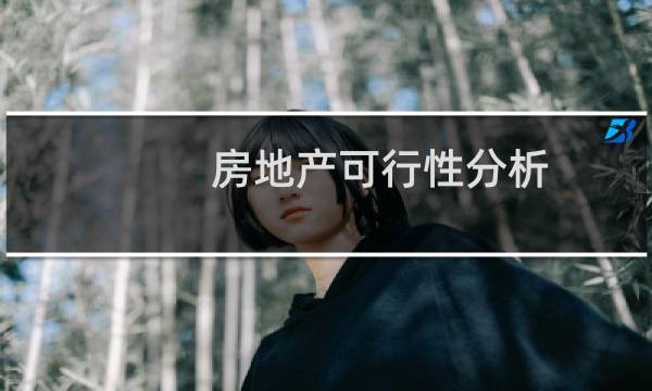 房地产可行性分析