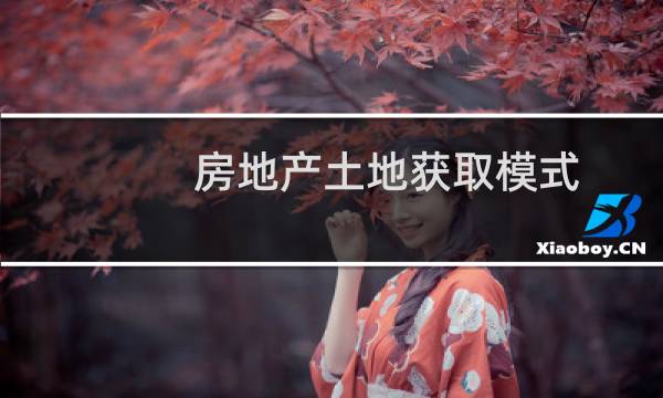 房地产土地获取模式