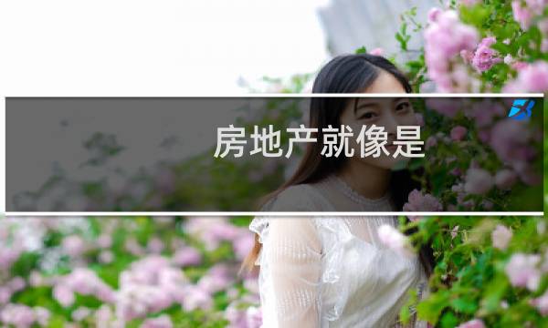 房地产就像是
