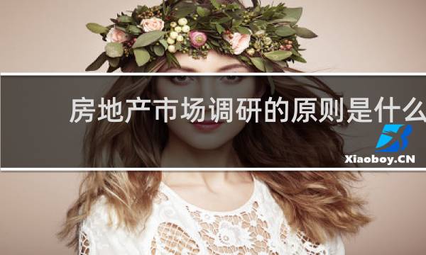 房地产市场调研的原则是什么