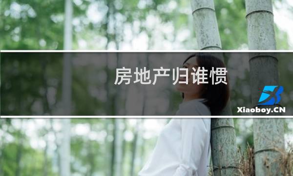 房地产归谁惯