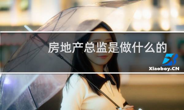 房地产总监是做什么的