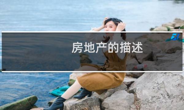 房地产的描述