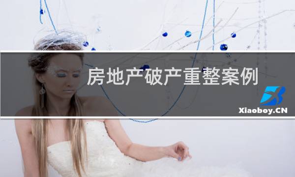房地产破产重整案例