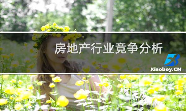 房地产行业竞争分析