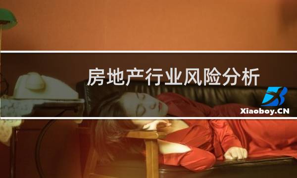 房地产行业风险分析