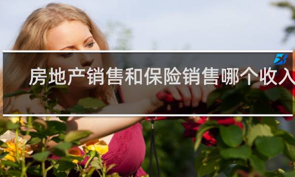 房地产销售和保险销售哪个收入高