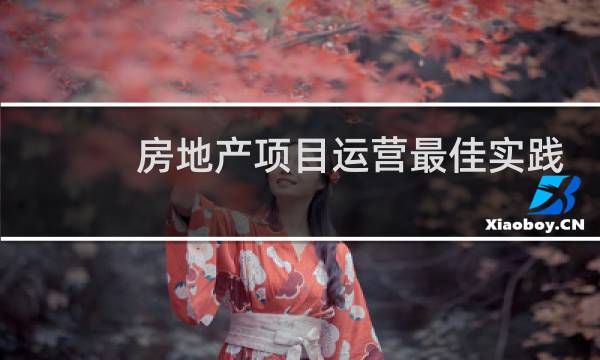 房地产项目运营最佳实践