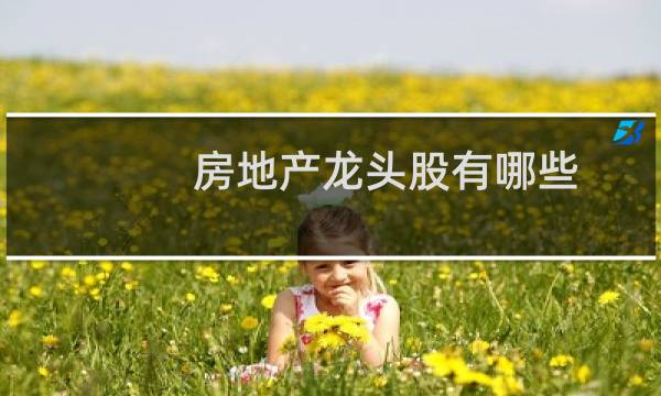 房地产龙头股有哪些
