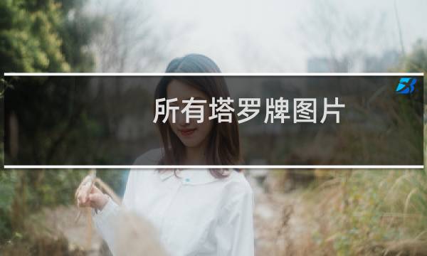所有塔罗牌图片
