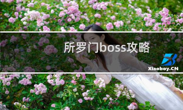 所罗门boss攻略