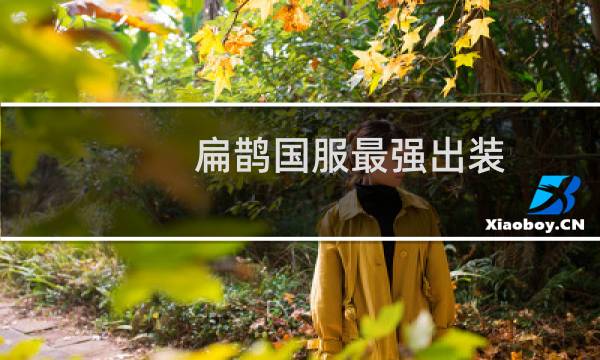 扁鹊国服最强出装