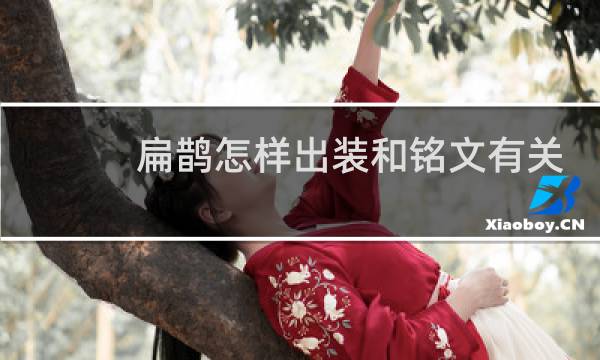 扁鹊怎样出装和铭文有关