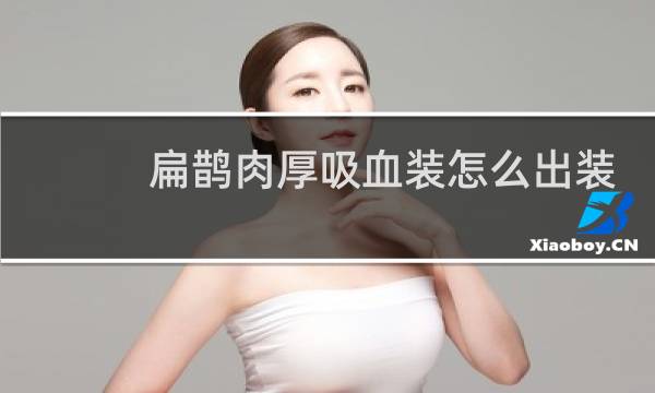 扁鹊肉厚吸血装怎么出装
