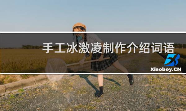 手工冰激凌制作介绍词语