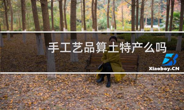 手工艺品算土特产么吗