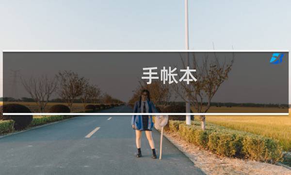 手帐本 攻略