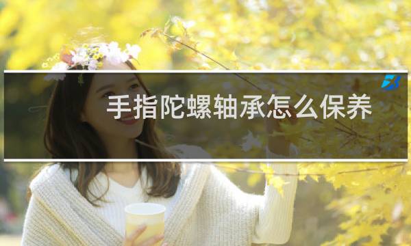 手指陀螺轴承怎么保养