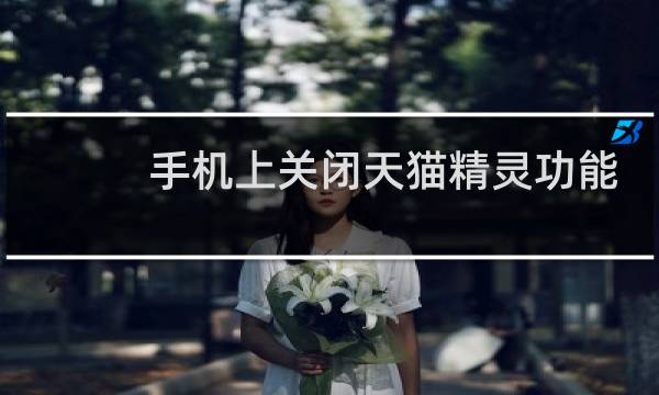 手机上关闭天猫精灵功能