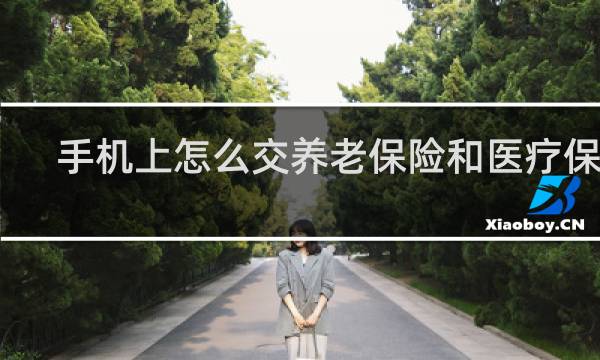 手机上怎么交养老保险和医疗保险